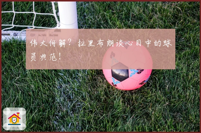 伟大何解？拉里布朗谈心目中的球员典范！