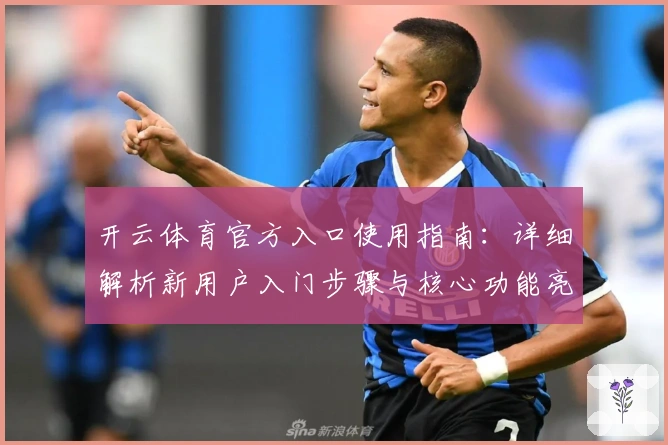开云体育官方入口使用指南：详细解析新用户入门步骤与核心功能亮点